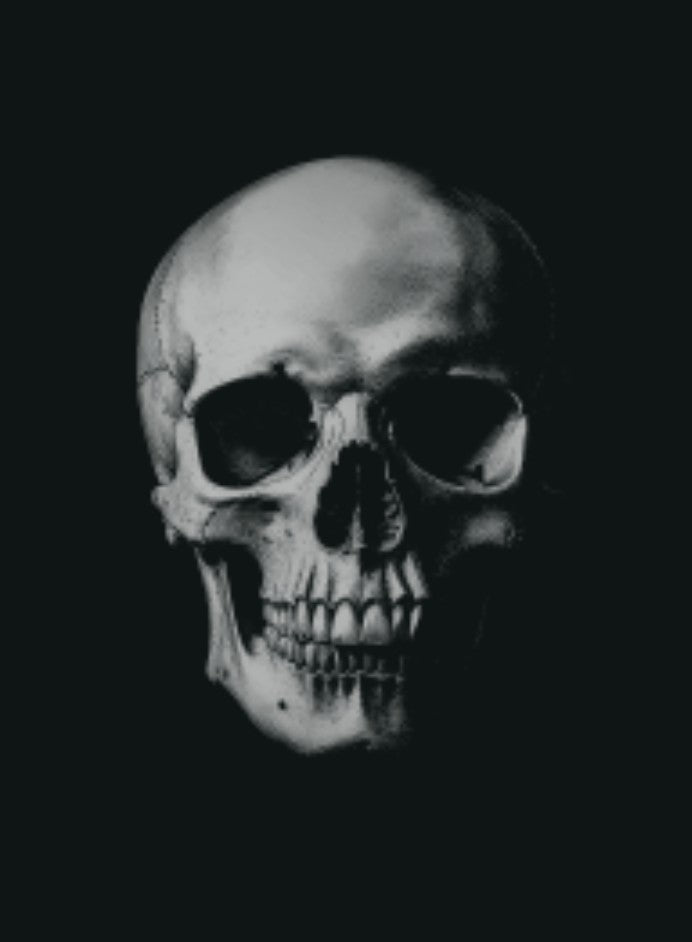 Large Skull Custom Shirt